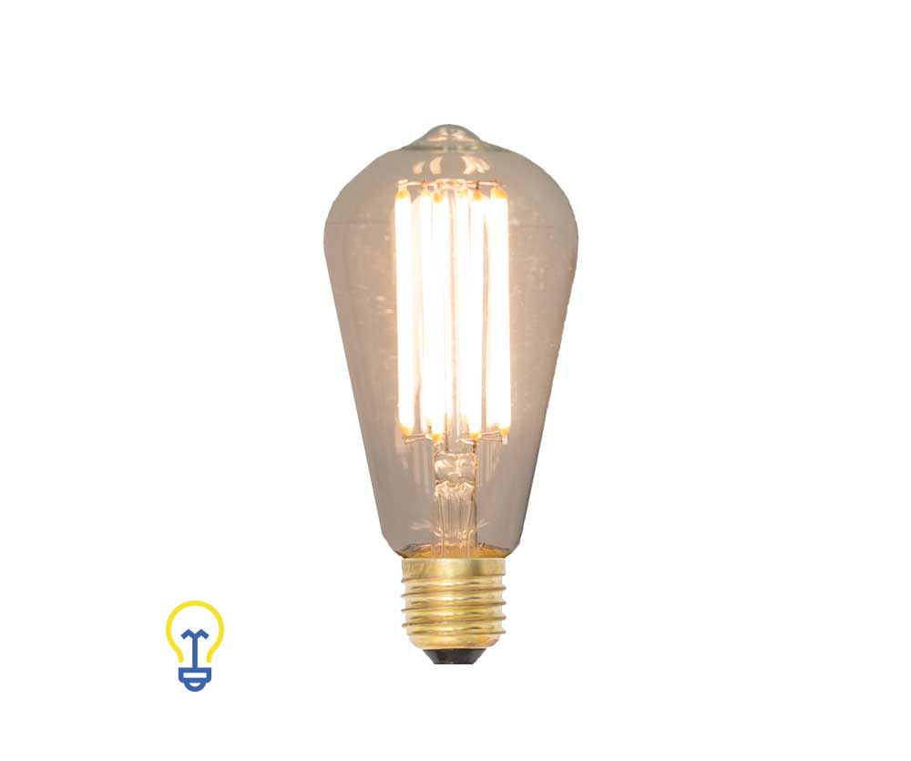 uitgehongerd Glimmend Wijden Led-Lamp Filament Kooldraad Grote fitting | Peer Edison 2200K -  123Lamponderdelen